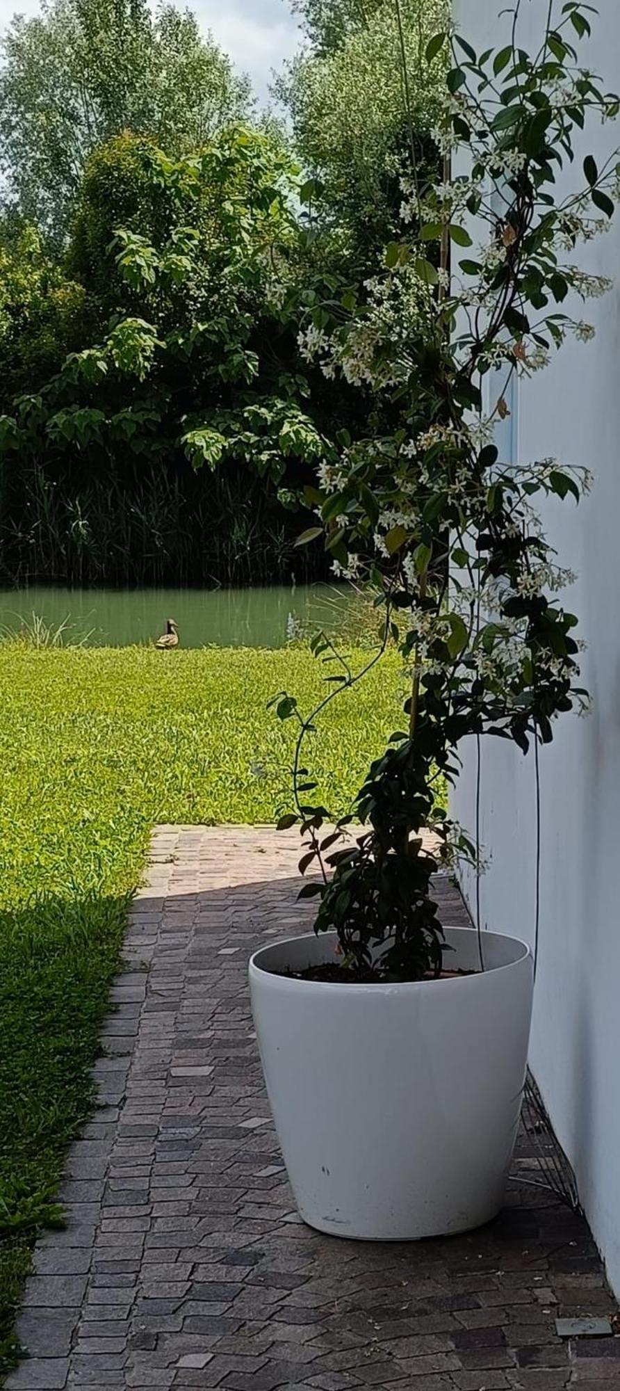 Hotel Locazione Riv'Al Sile Quinto Di Treviso Exteriér fotografie